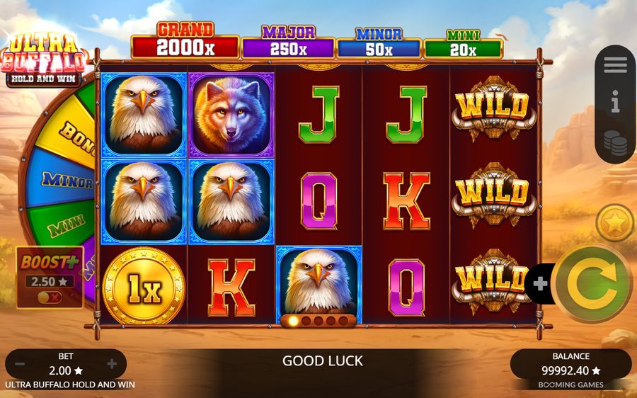 Ultra Buffalo Hold and Win — kuvakaappaus pelistä