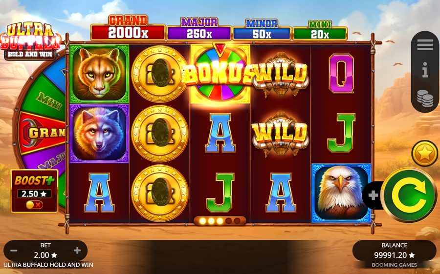 Ultra Buffalo Hold and Win — kuvakaappaus pelistä