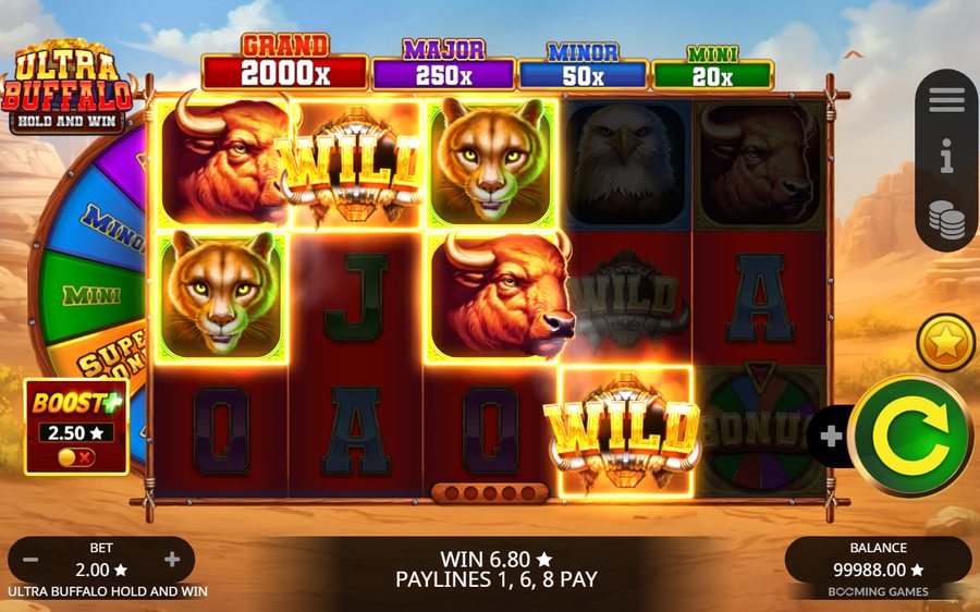 Ultra Buffalo Hold and Win — kuvakaappaus pelistä