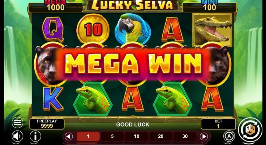 Lucky Selva Hold & Win — kuvakaappaus pelistä